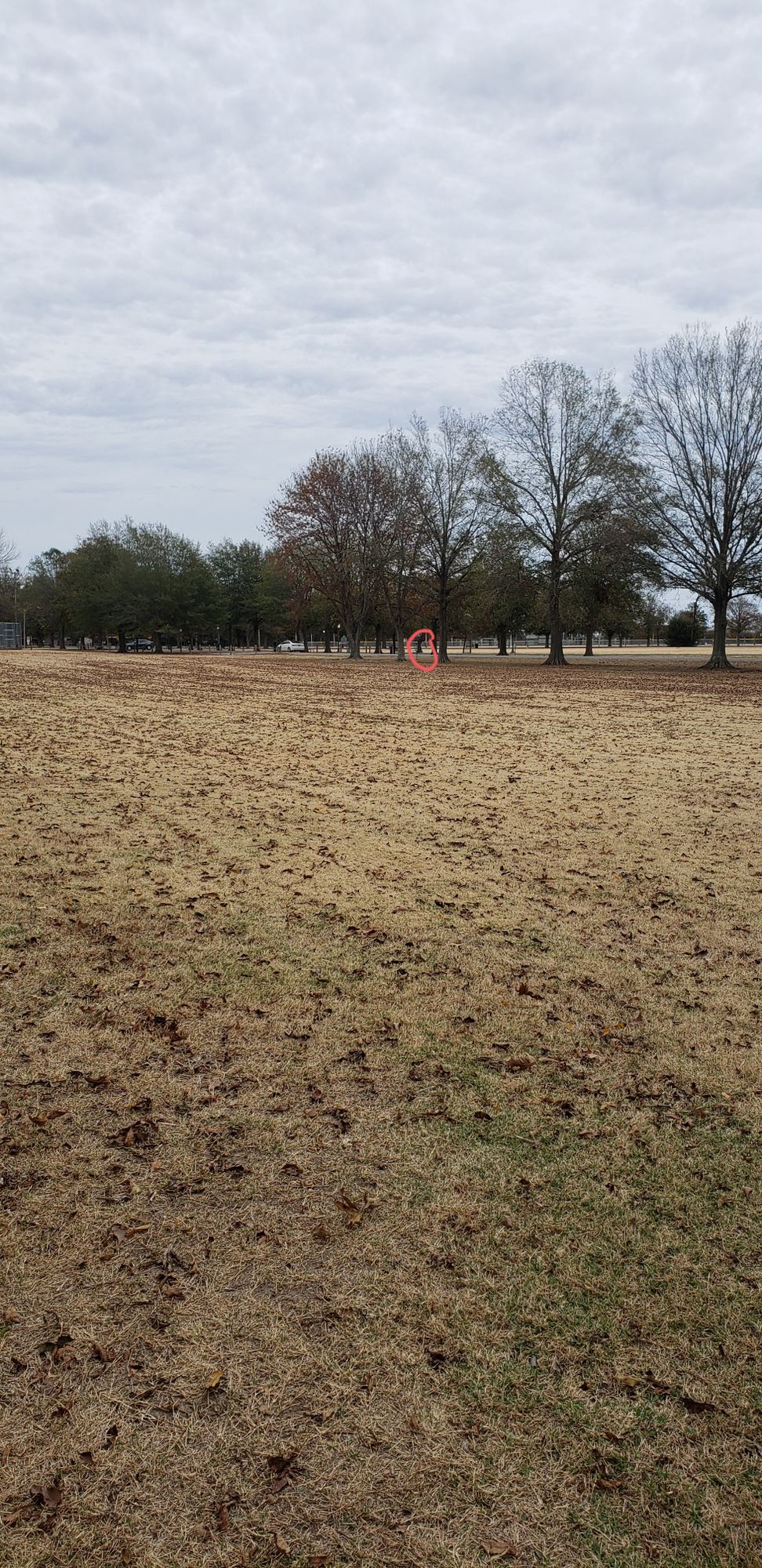 Hole 3 - Main basket location