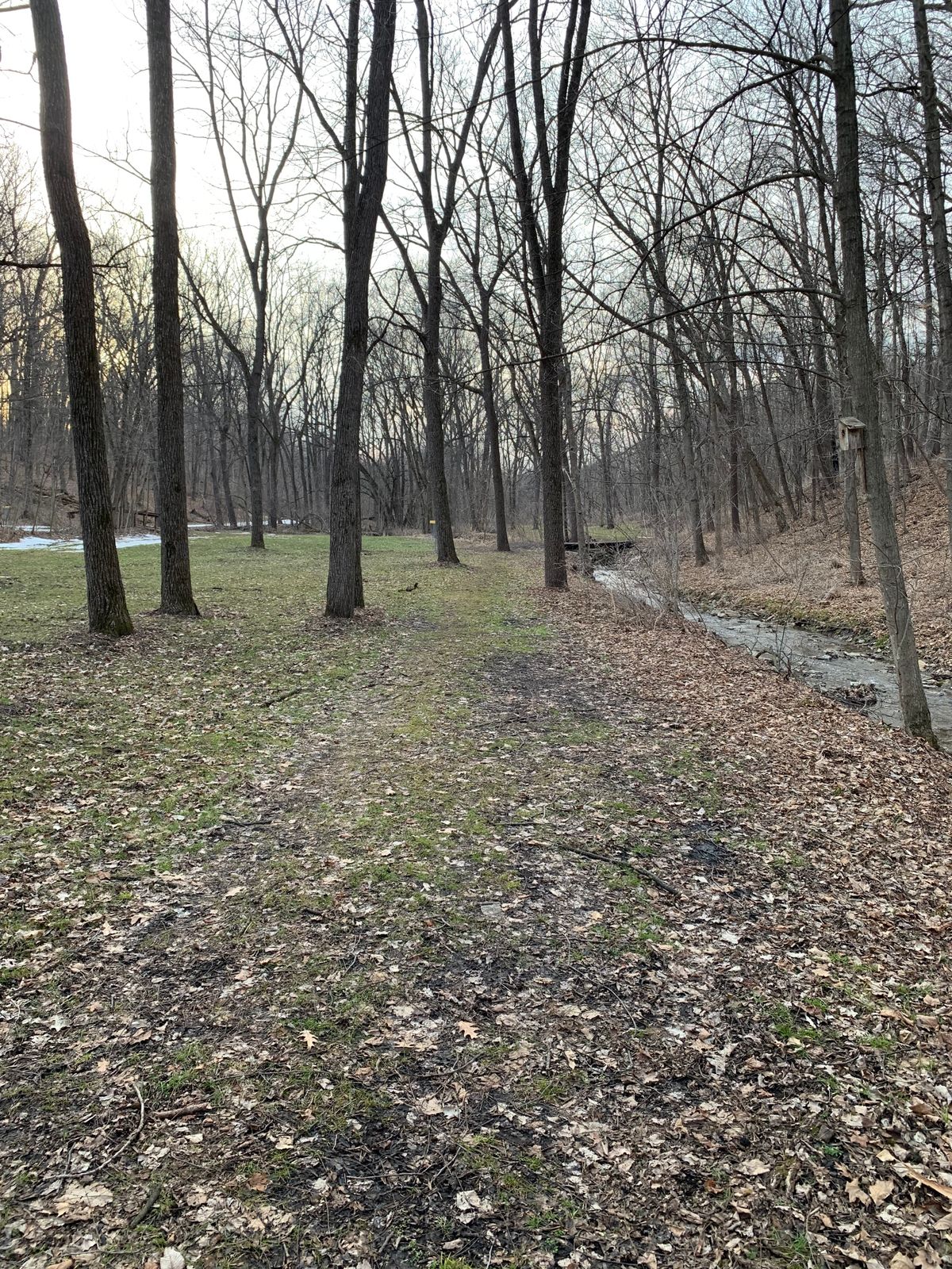 Hole 4 has some pretty tight gaps. sort of poke and hope type of hole