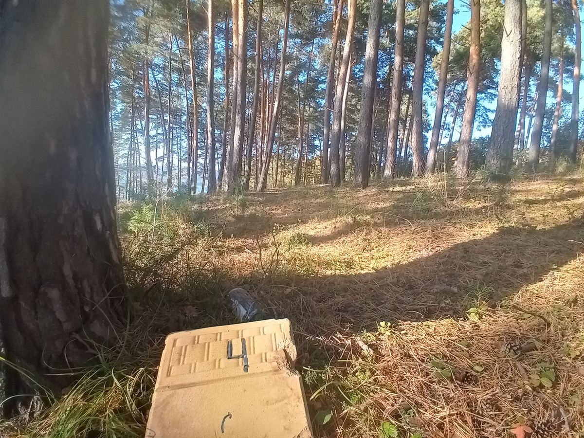 Hole 4 Tee