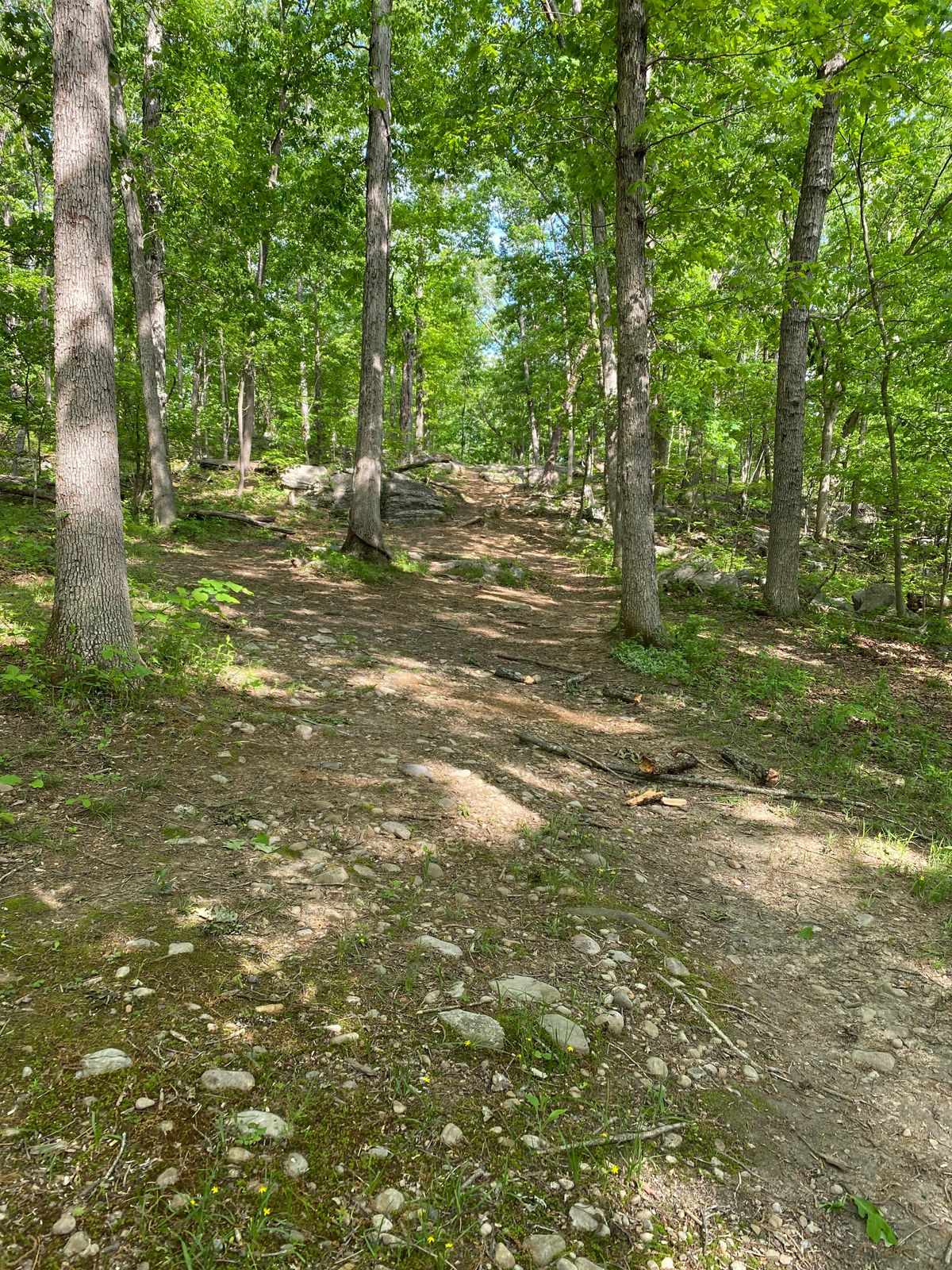 Uphill elevation