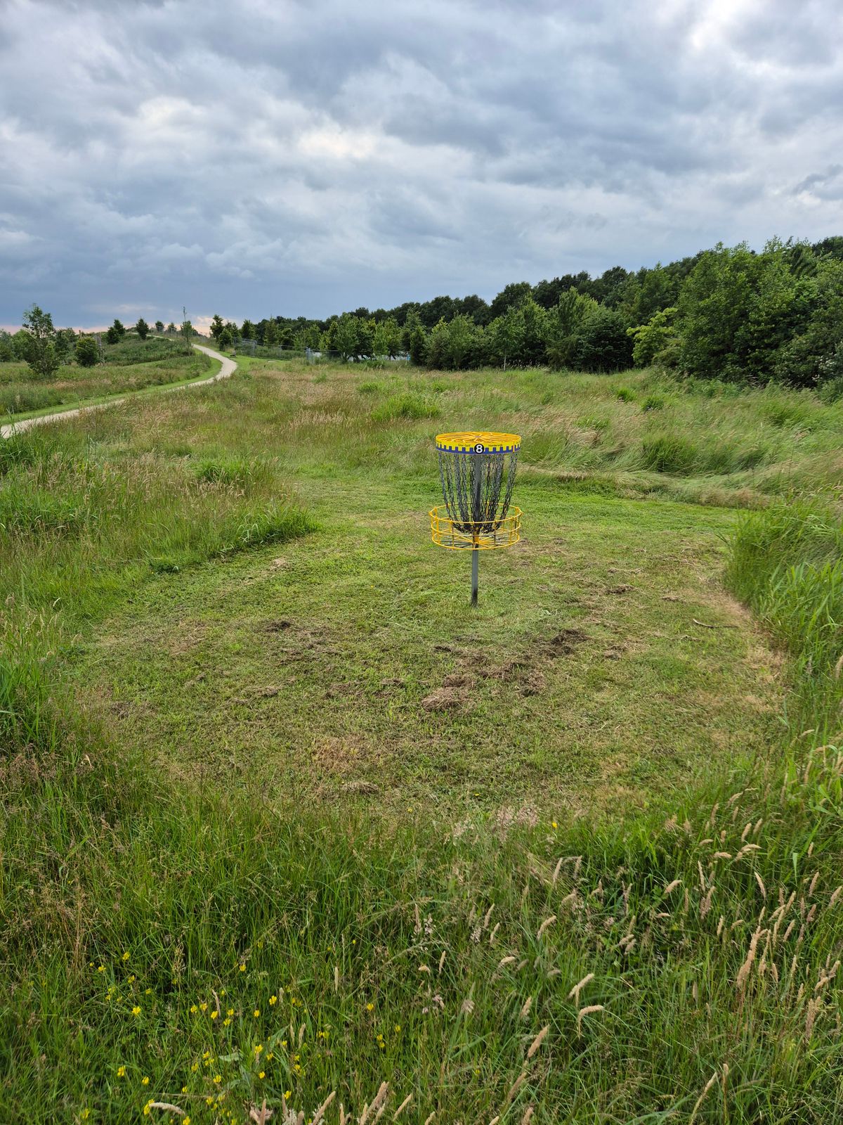 Basket hole 8