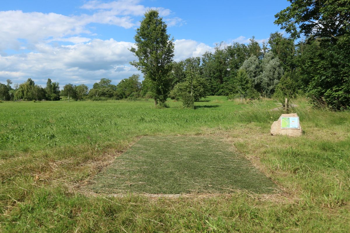 Tee from hole 3