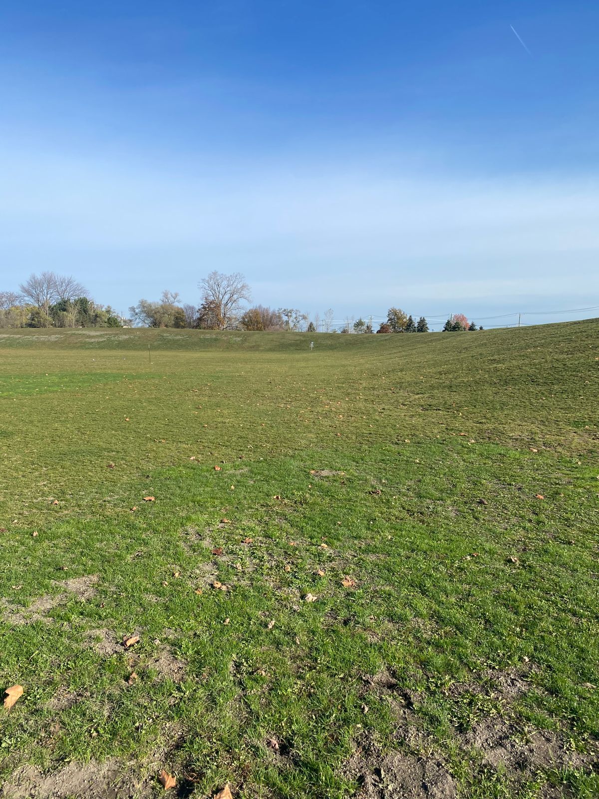 #4 long tee