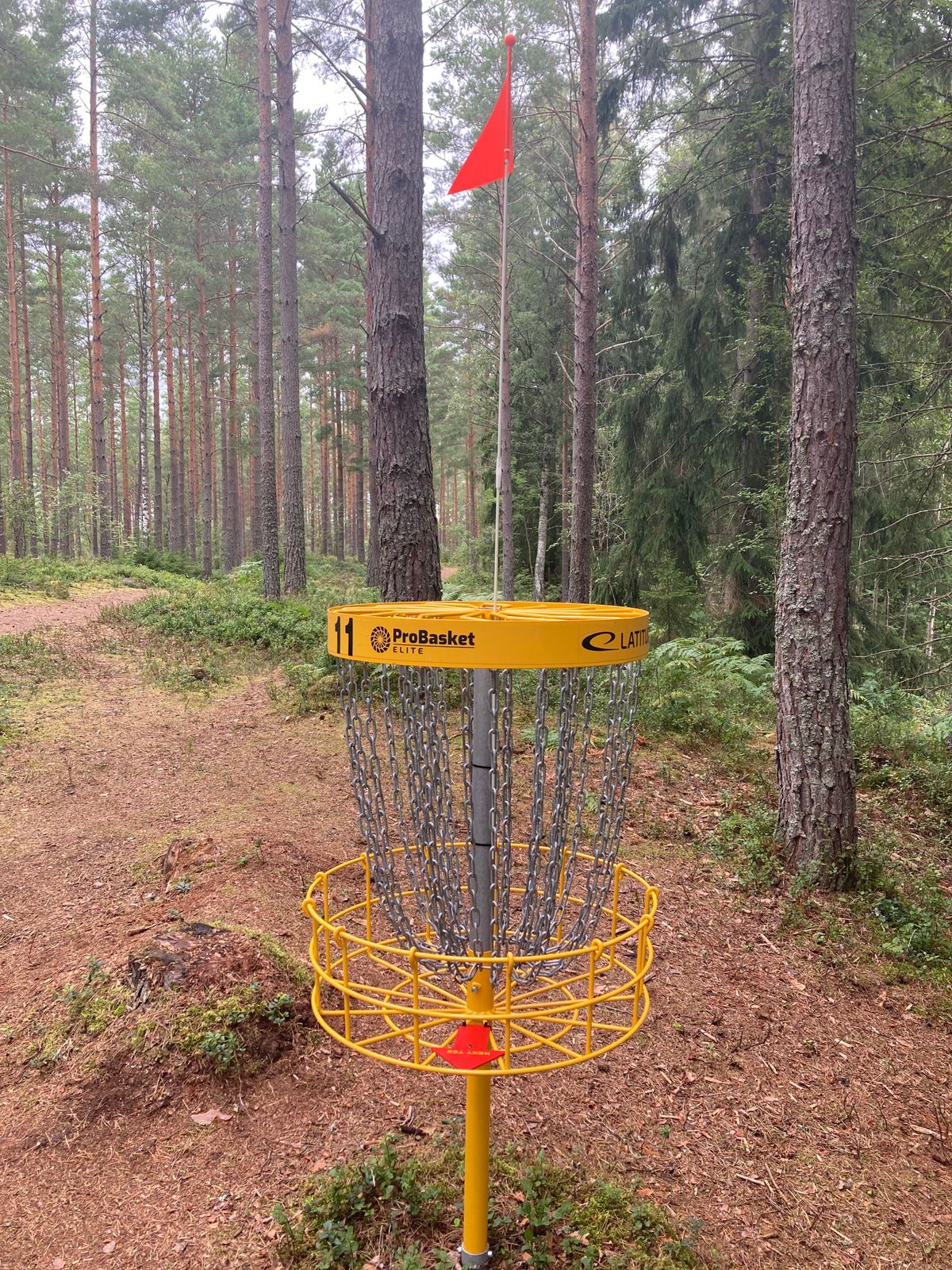 Banans mest pimpade korg