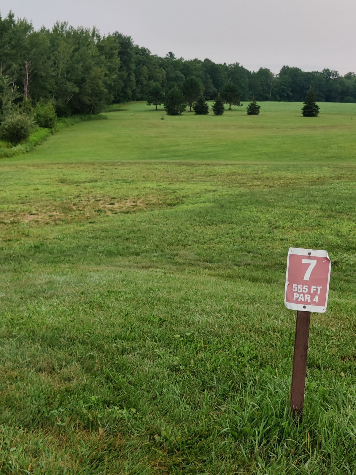 Tee 7