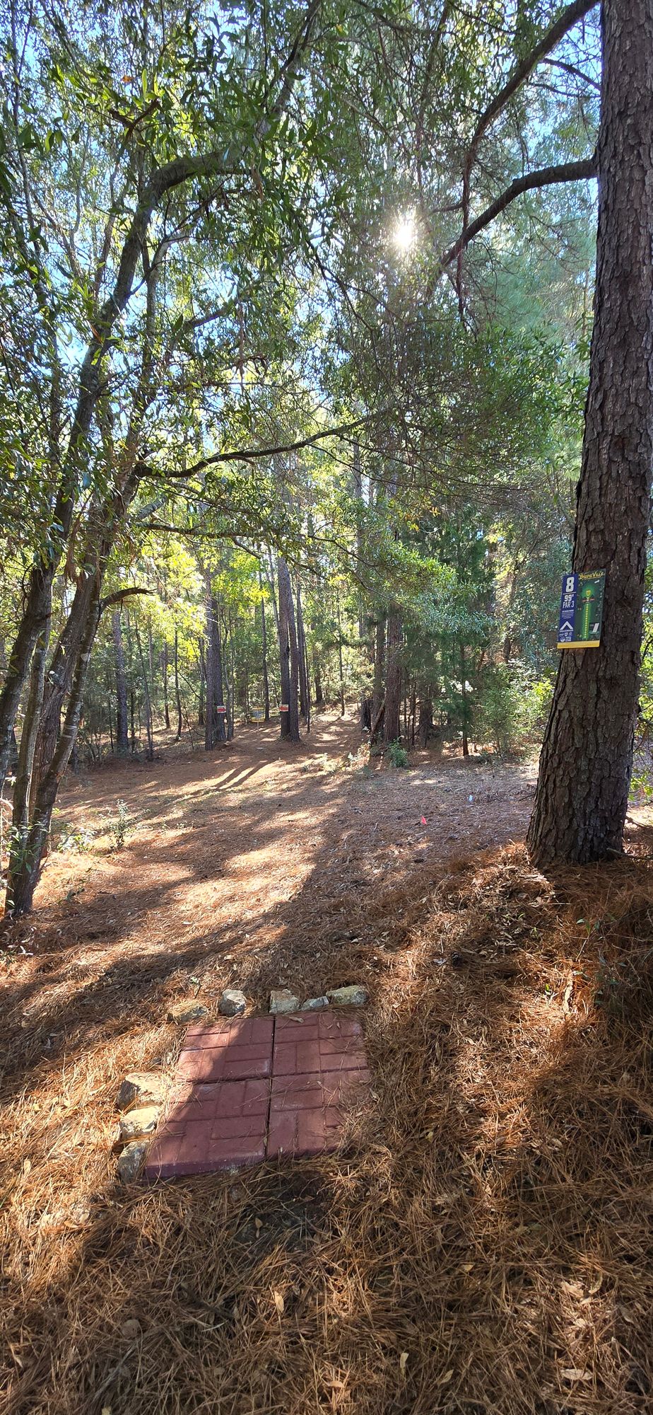 Hole 8, double mando!