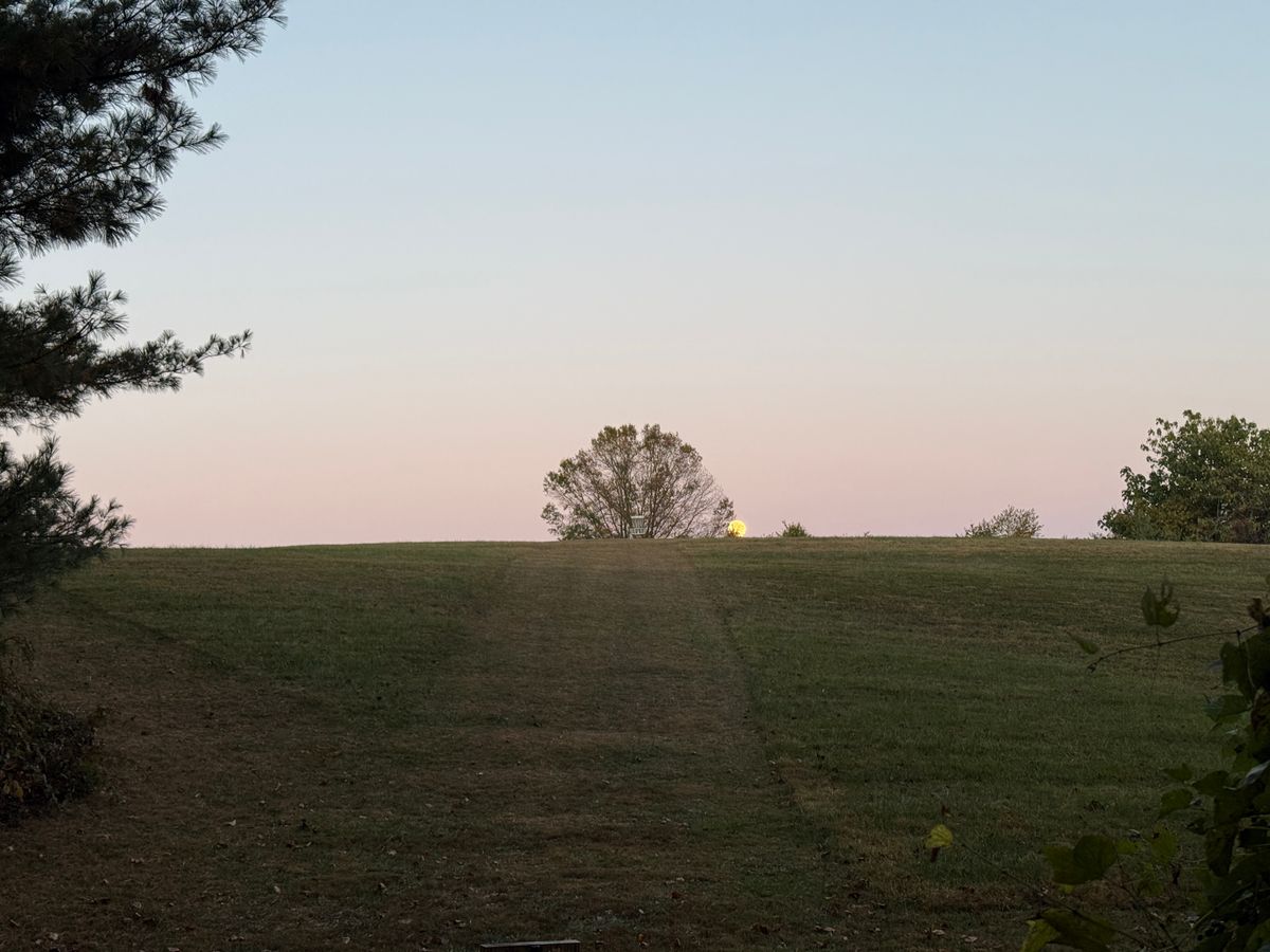 Looking towards the basket from the tee pad on hole 16