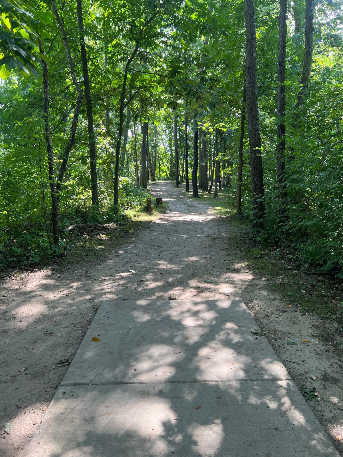 Hole 4 (White) - Tee Pad