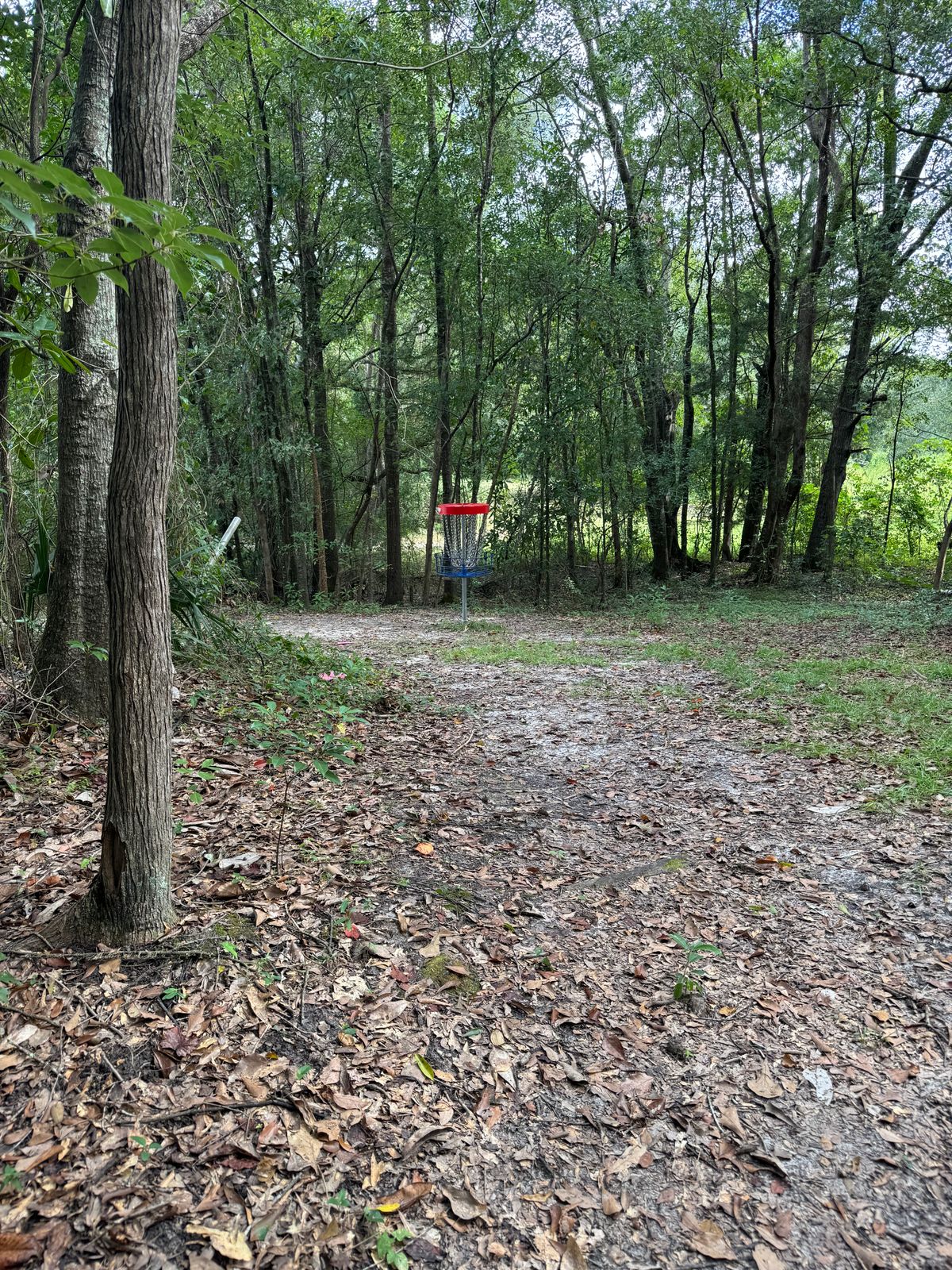 Hole 9 basket