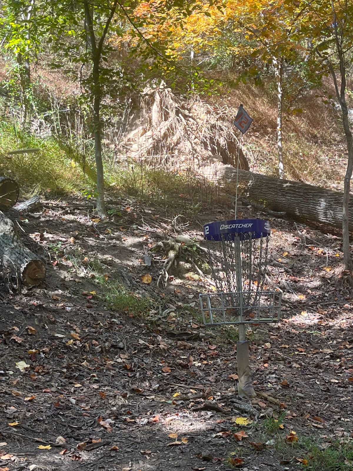 Basket on 12