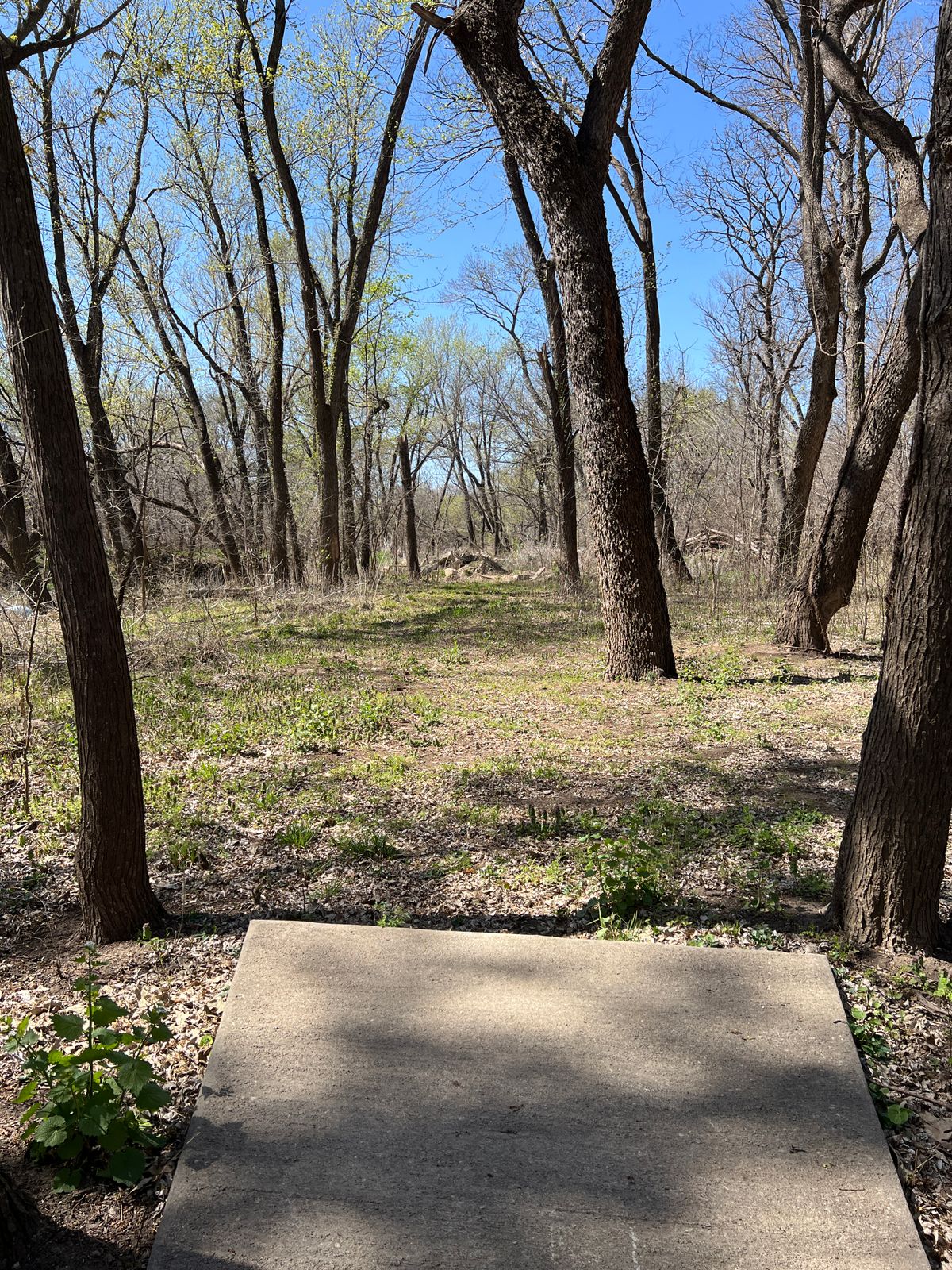 Hole 4