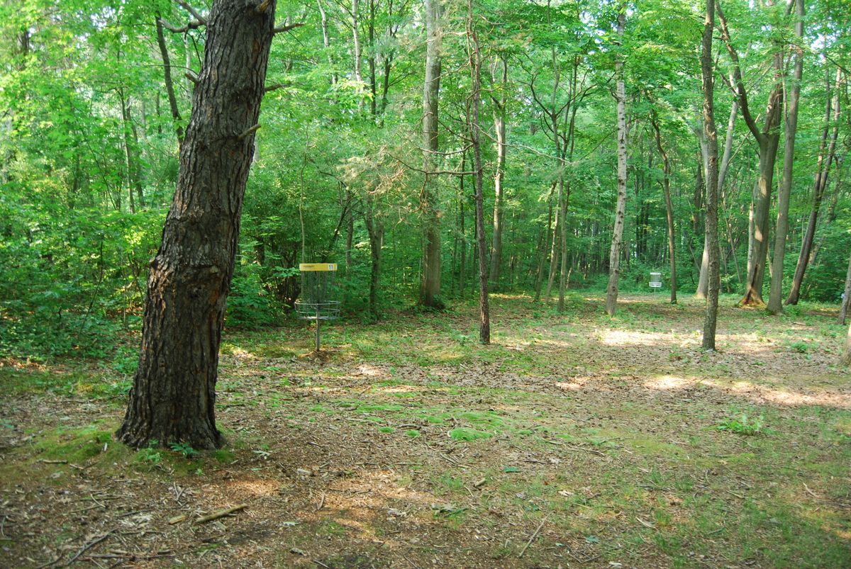 Hole 11 Short pin position on left of fairway