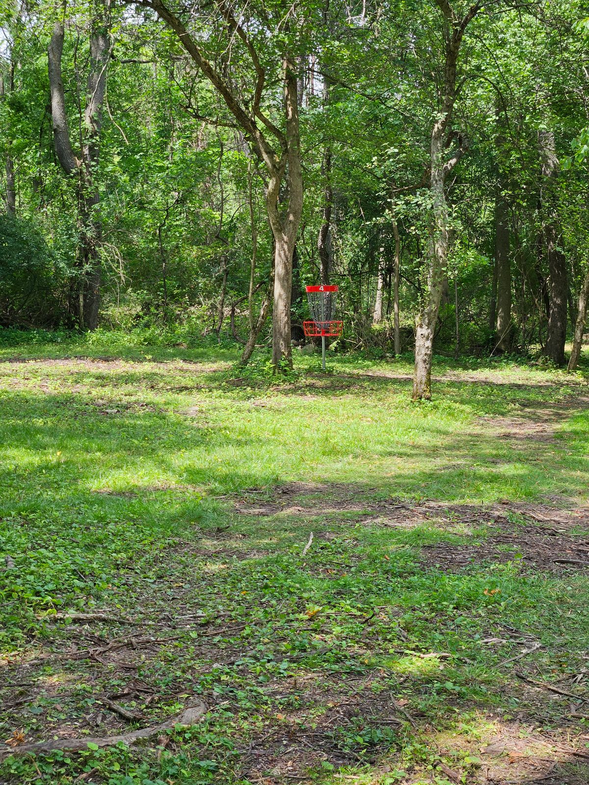 Hole 4 green