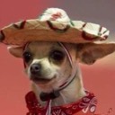 santitos0011