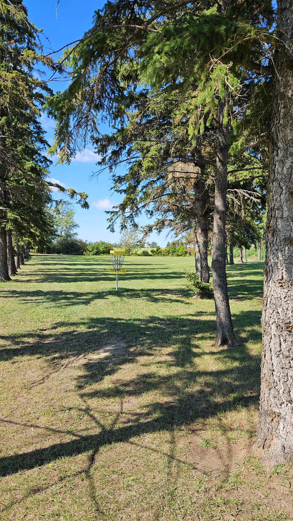 Looking back at hole 4 basket