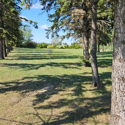 Looking back at hole 4 basket