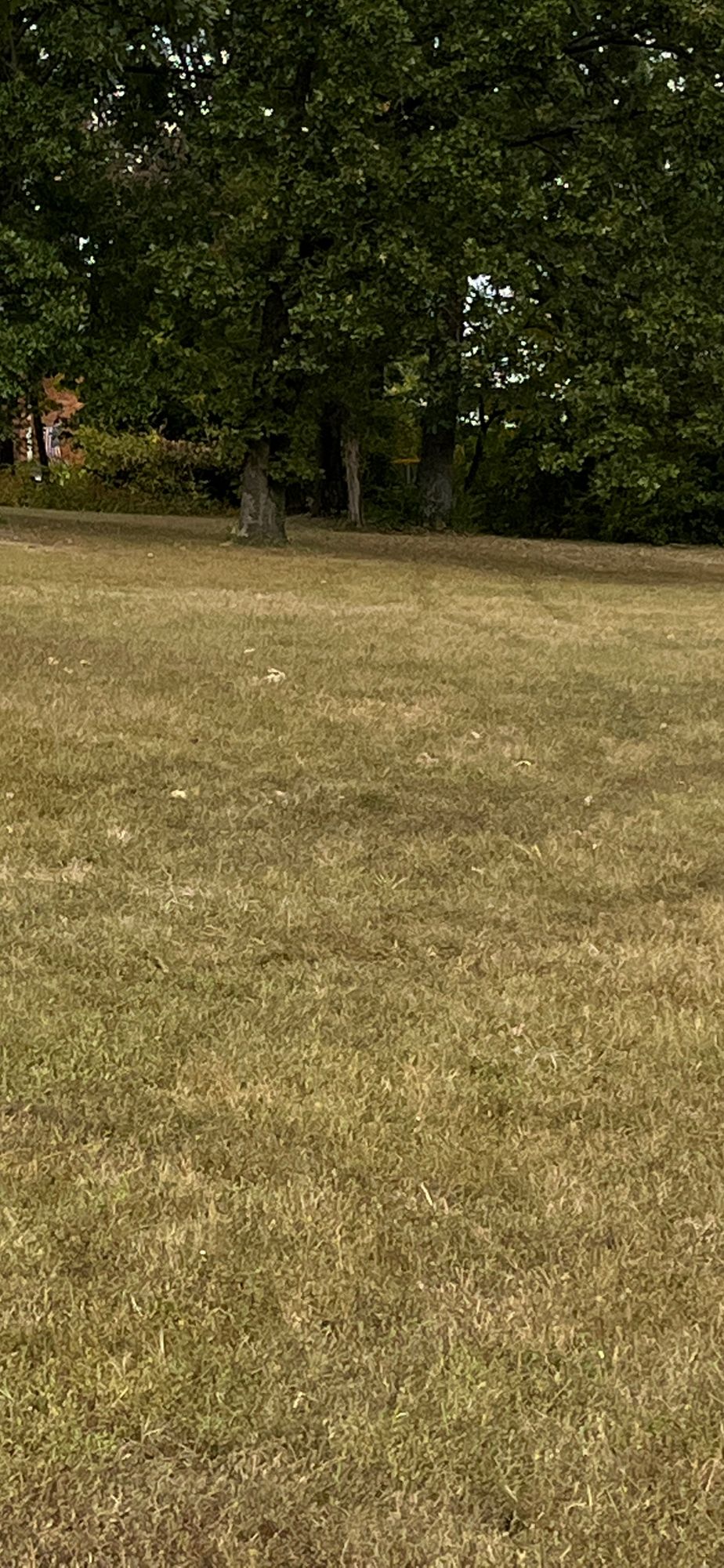 Hole 4 Tee