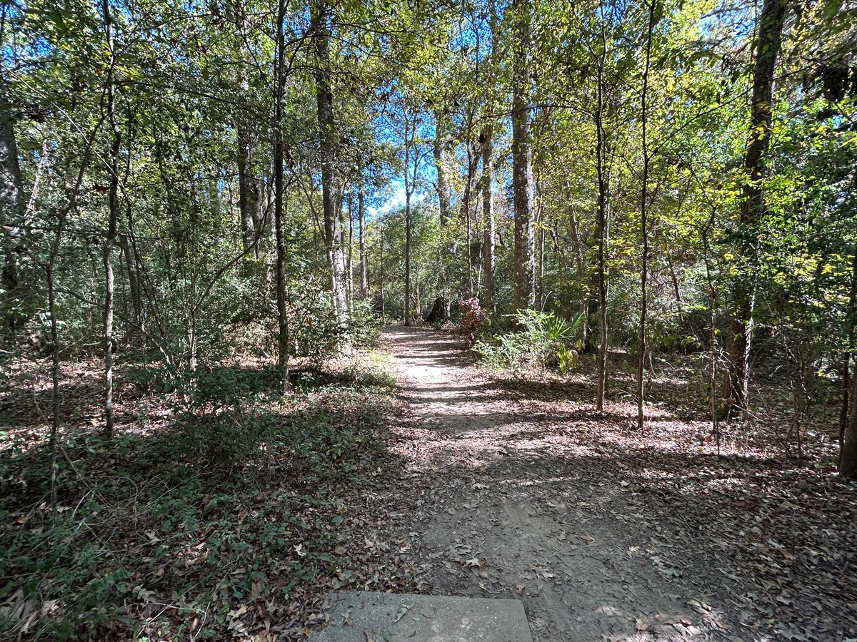 Hole 14 Fairway