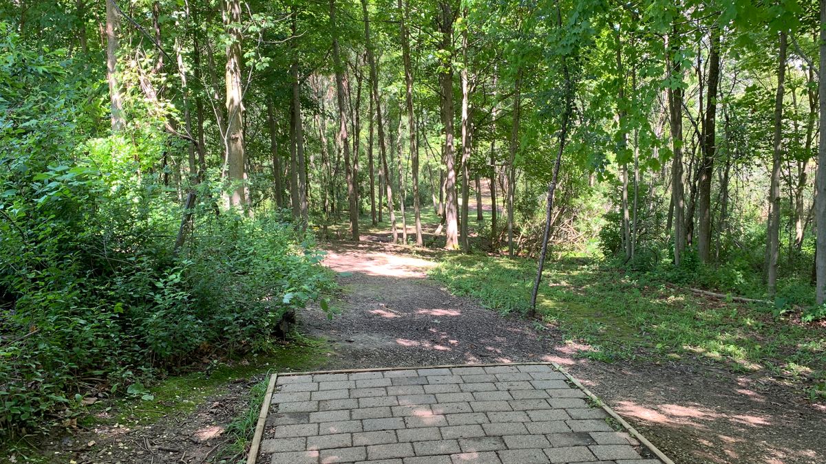 Hole 6