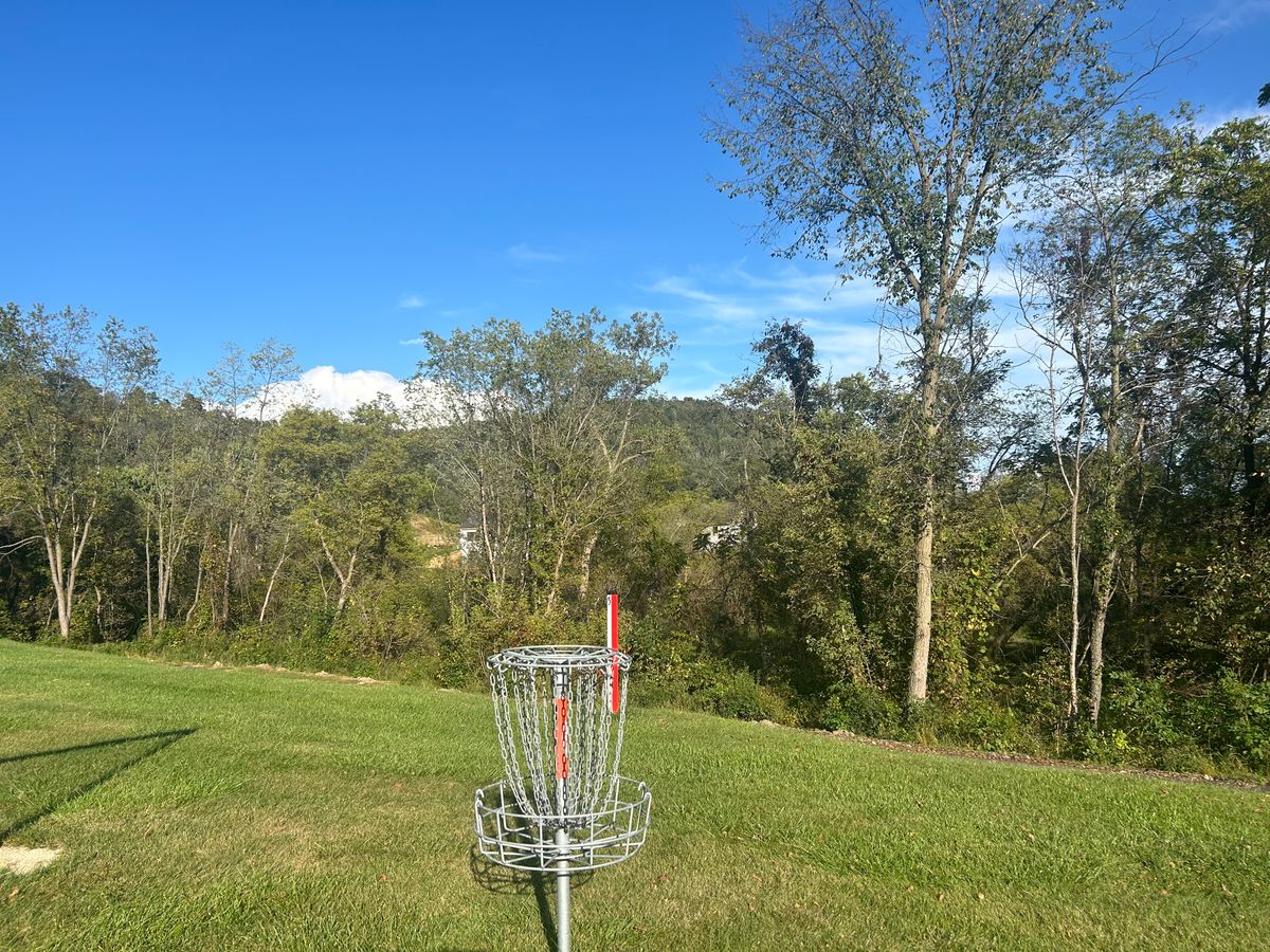 Hole 4 basket