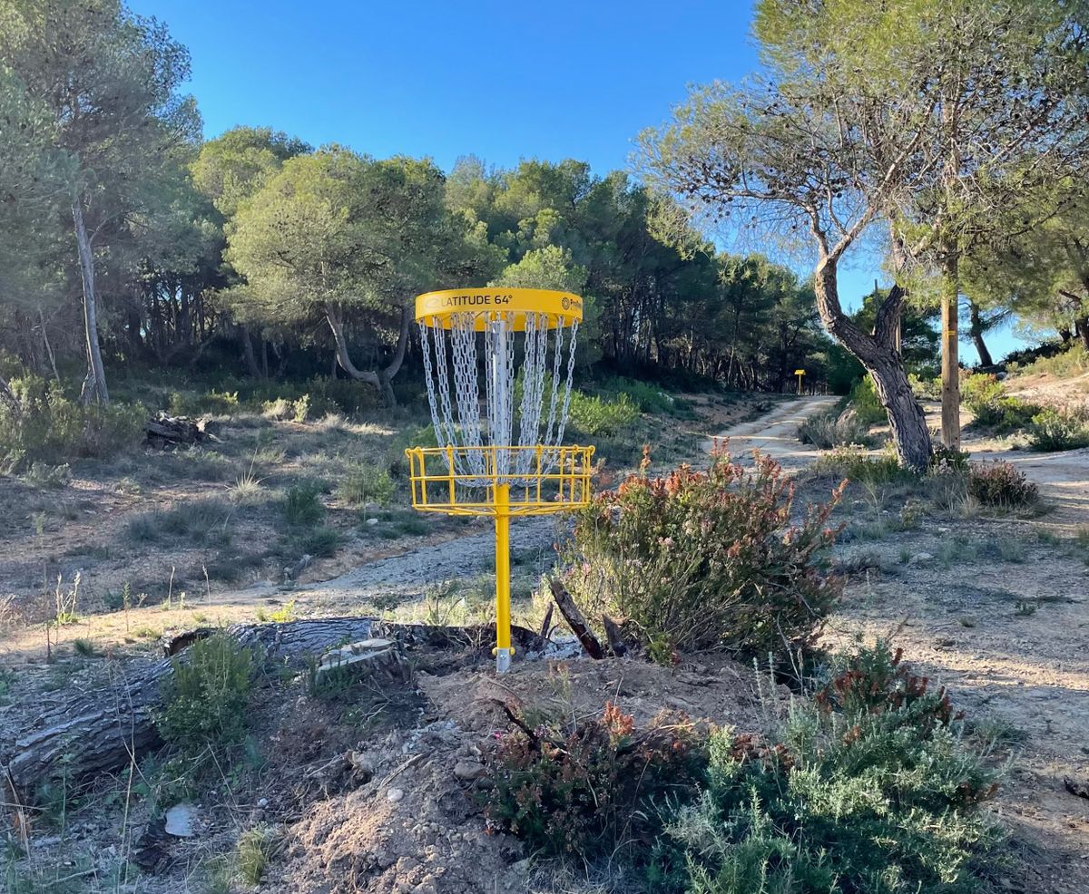 BASKET 2