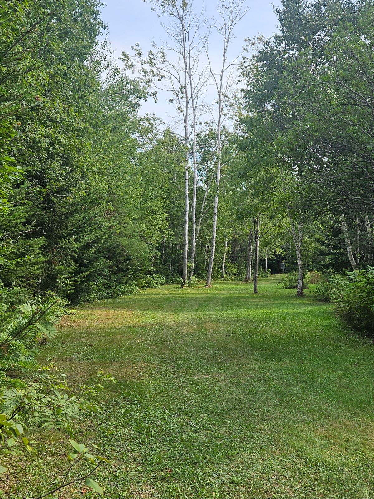 Fairway of 16