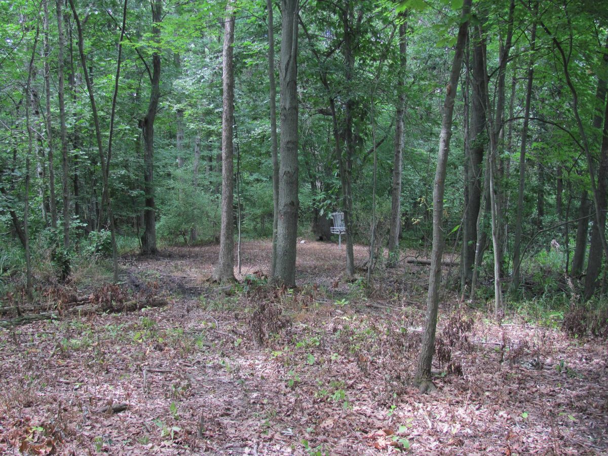 Approach on hole 5