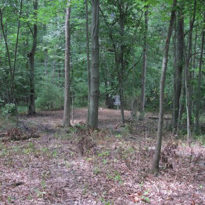 Approach on hole 5