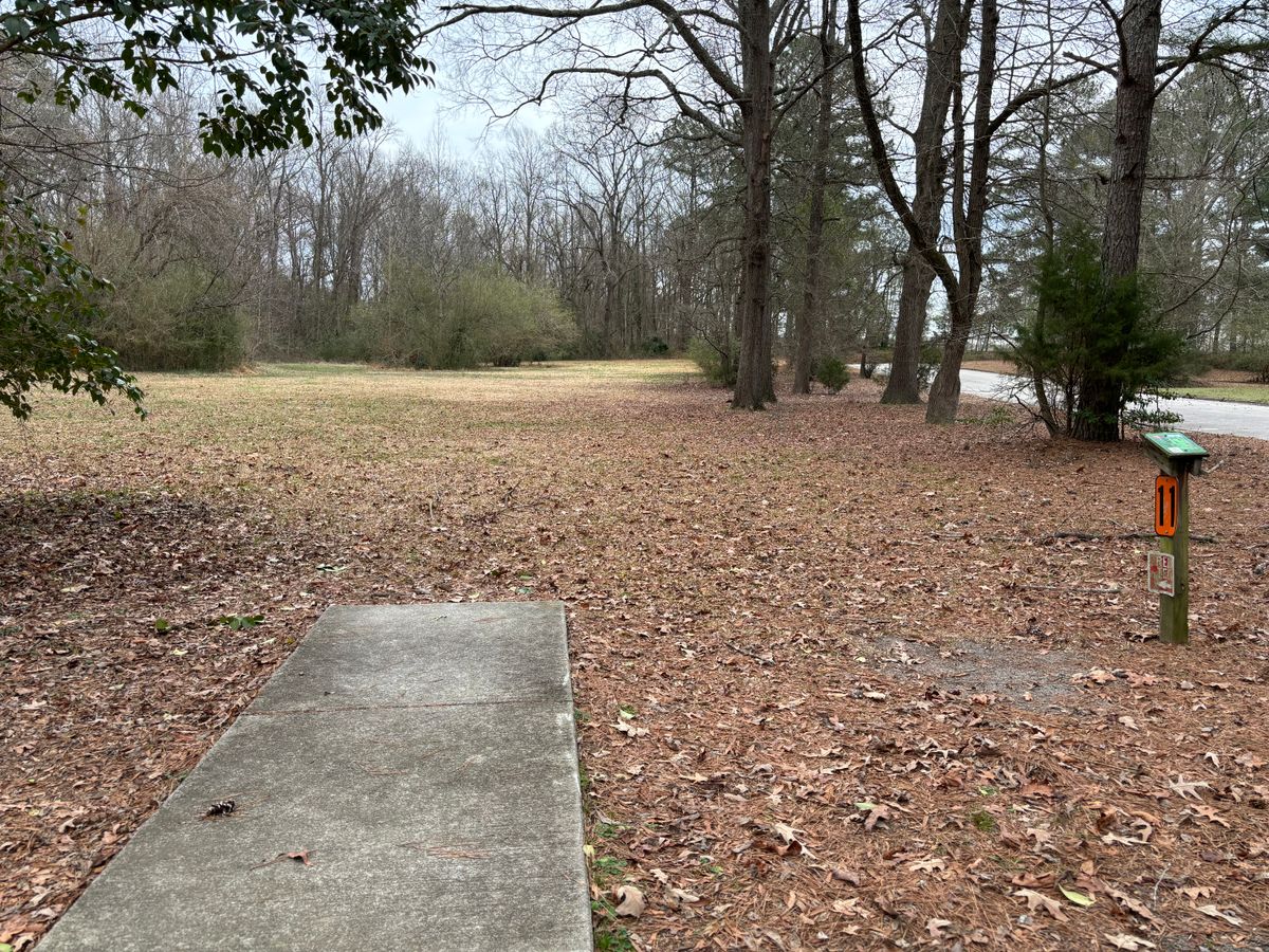 Hole 11 shorts