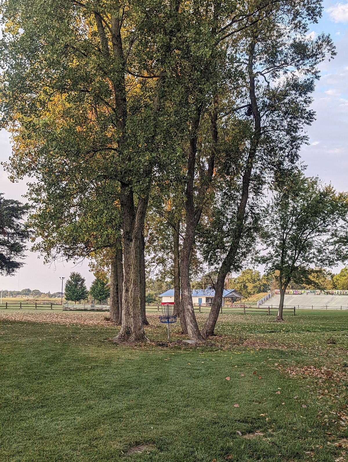 Hole 7s basket