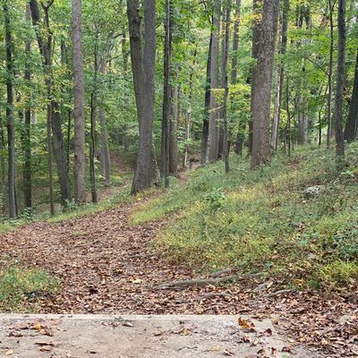 Hole 17, short tee