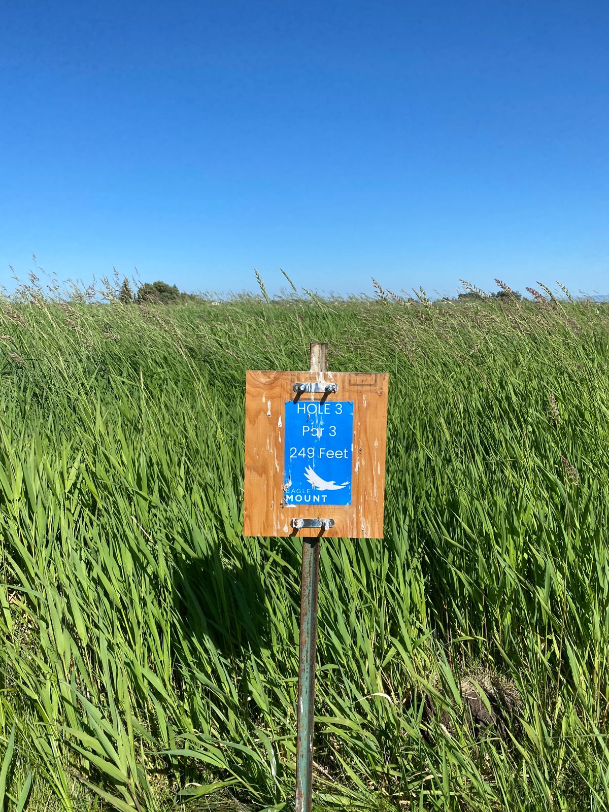 Basic tee signs