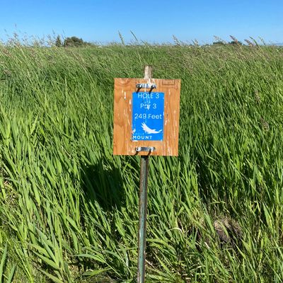 Basic tee signs
