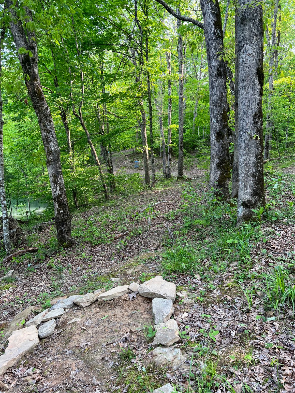 Hole 14 Drop Zone