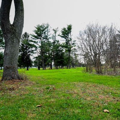 Hole 8 Fairway