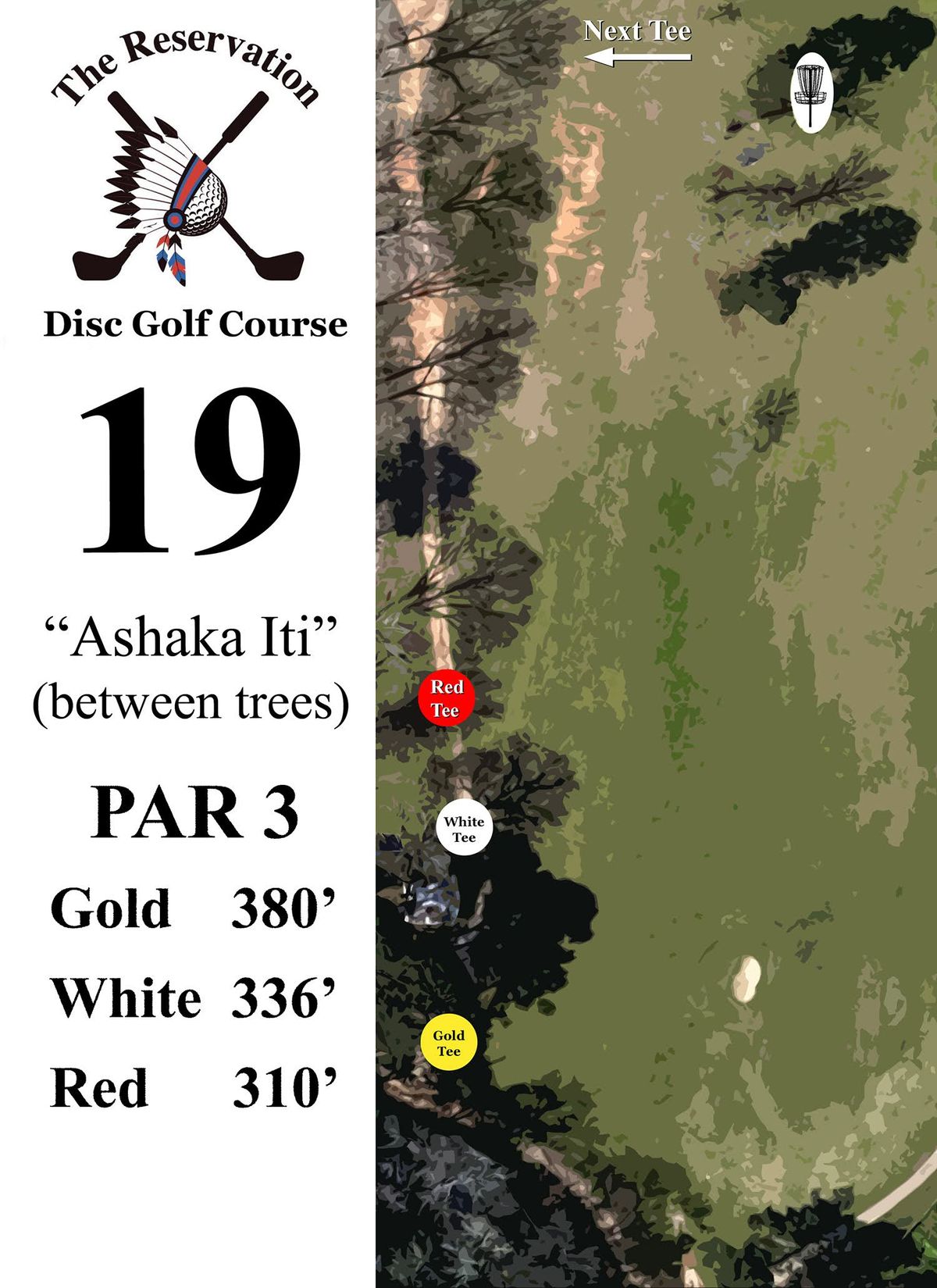 Flat Par 3, basket guarded by trees  a downslope just past.