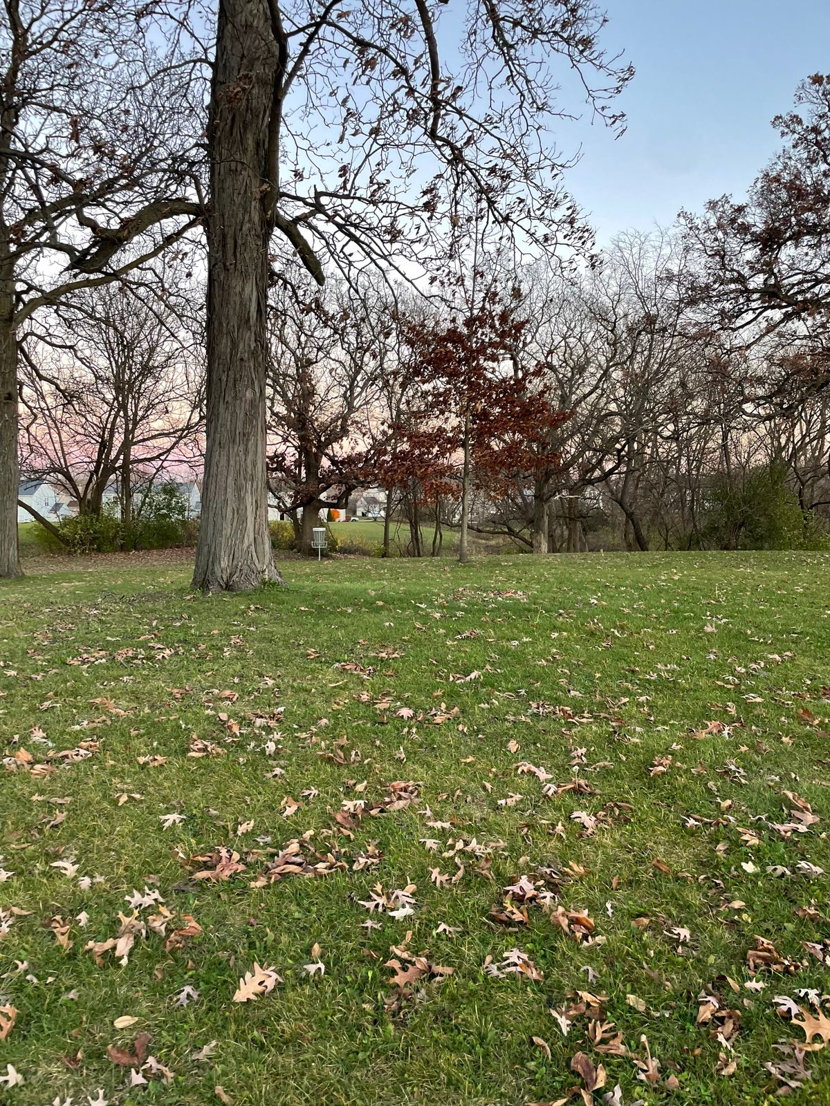 Hole 5 from fairway