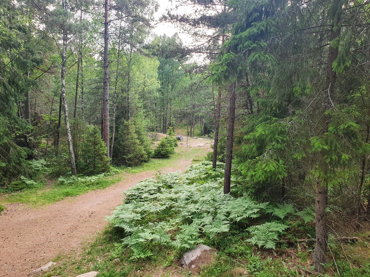 Hål 11 akta vatten.