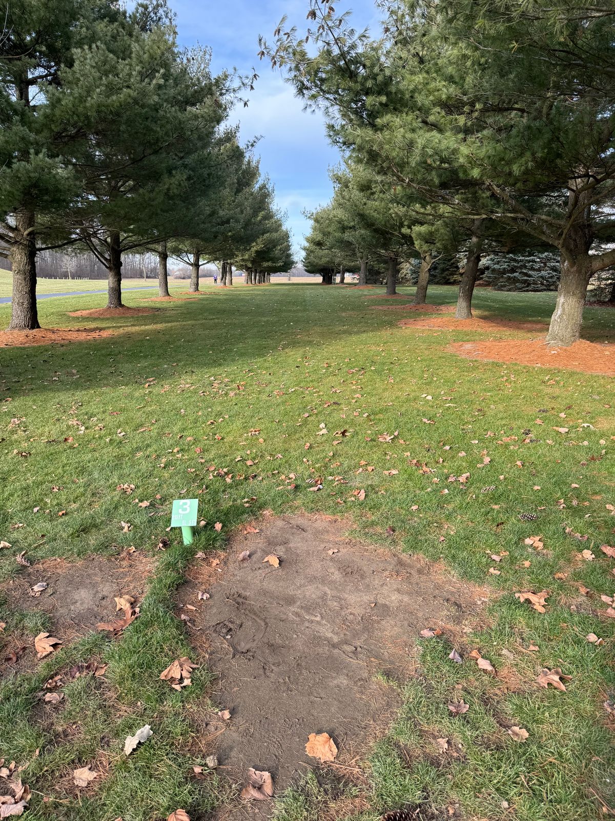 Hole 3