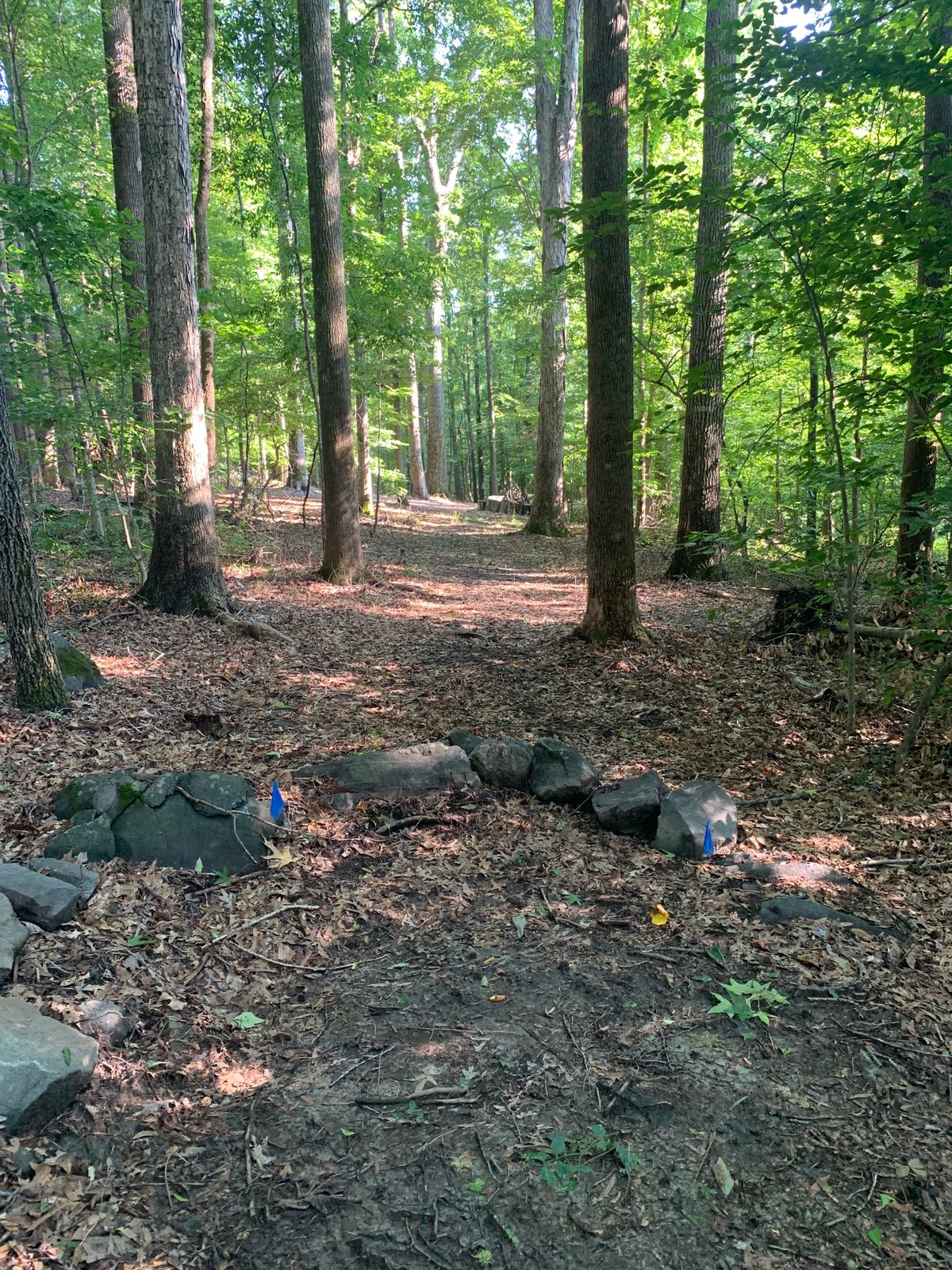 Hole 3 Blue Tee. 