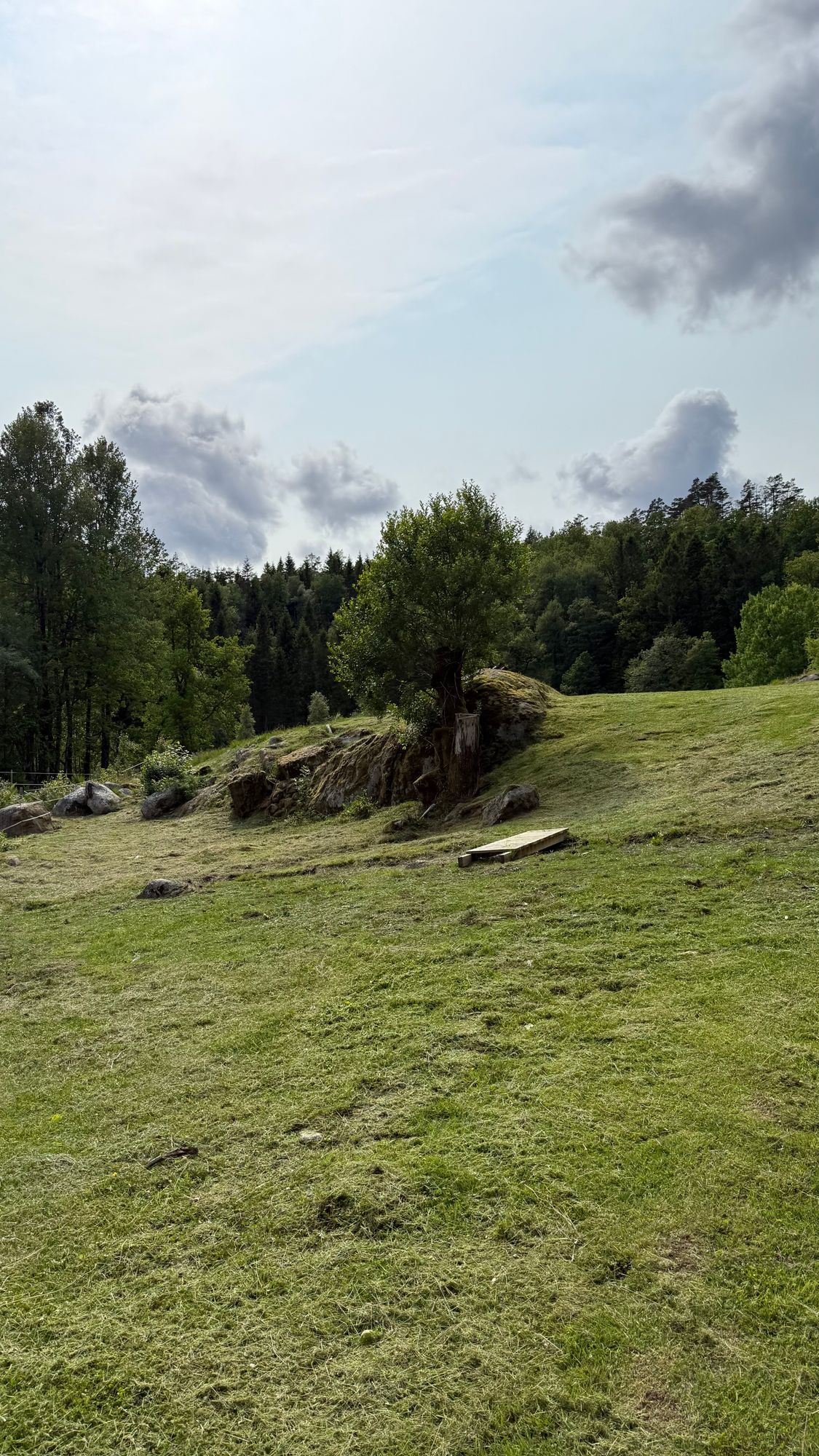 Hole 16 gold and Blue