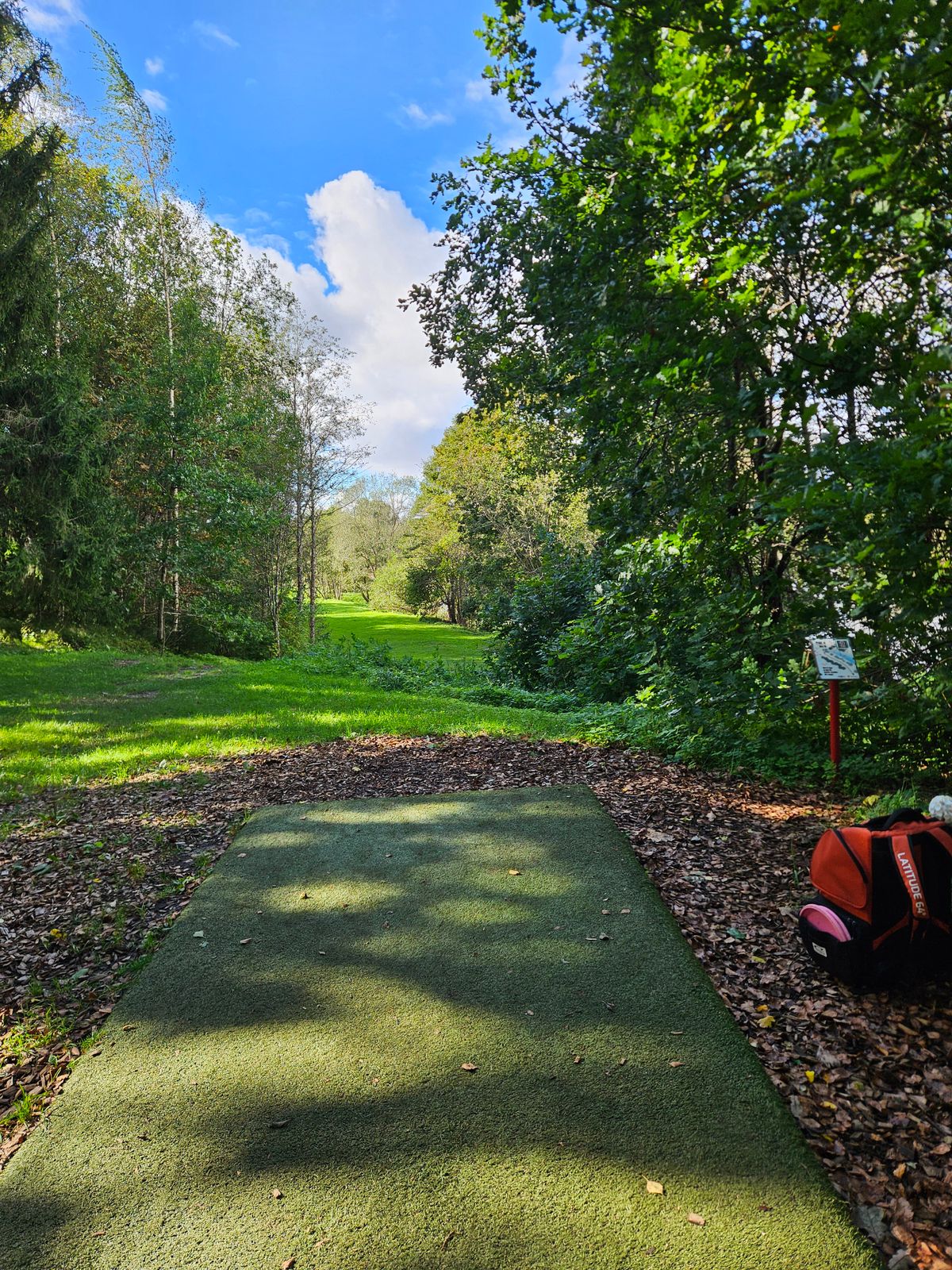 Hole 2 / par 4