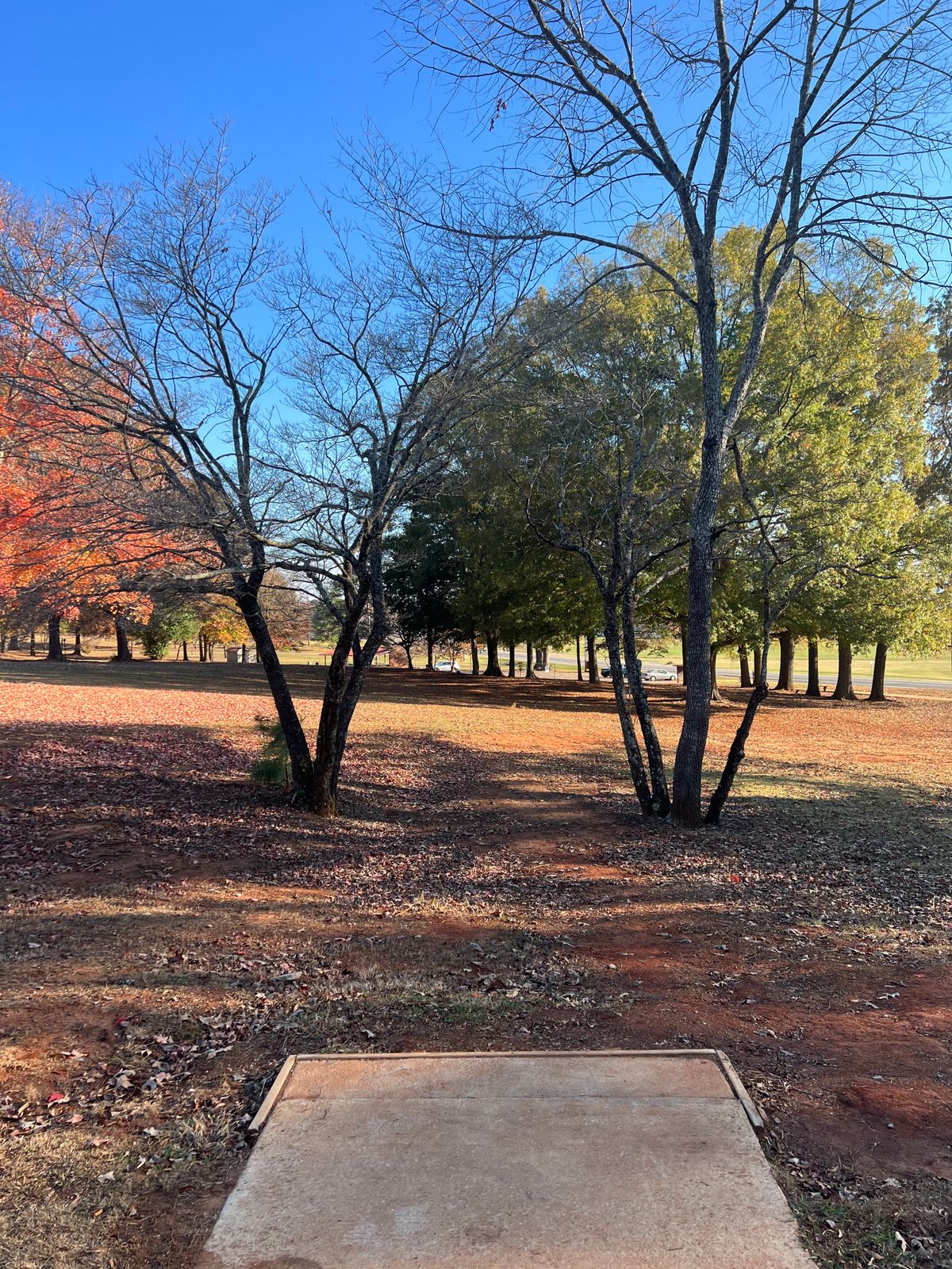 Hole 6