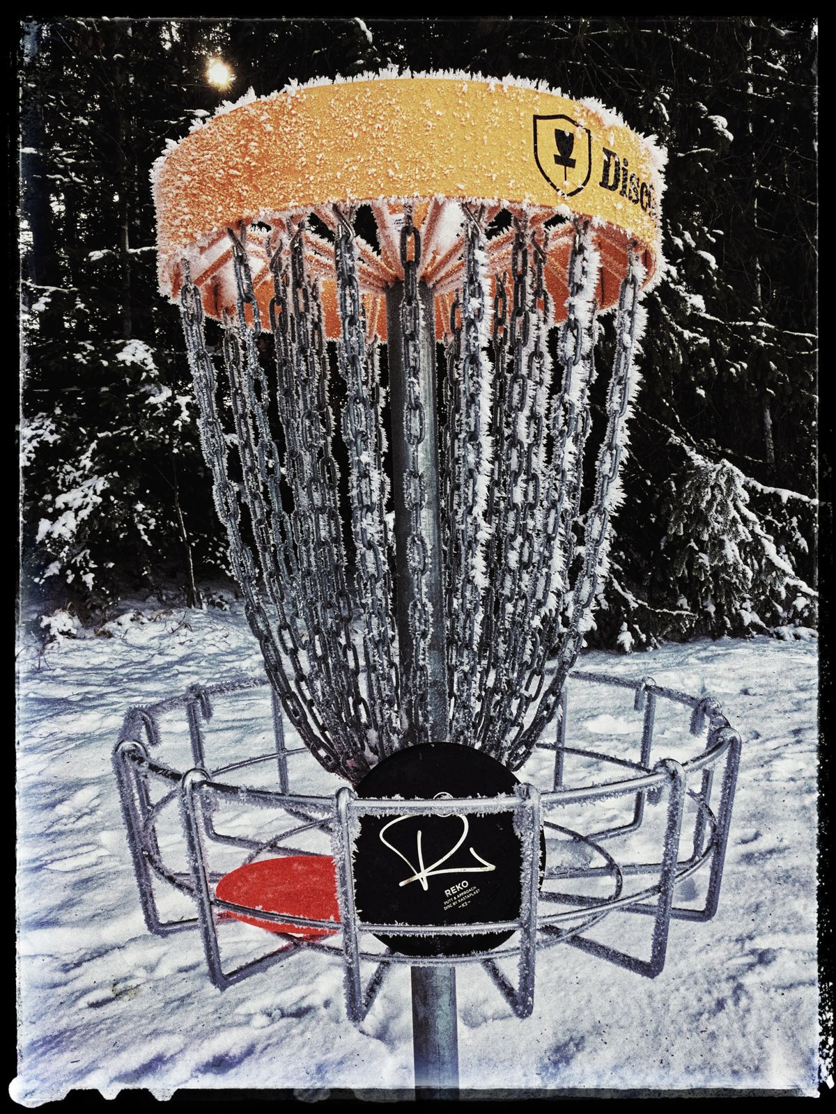 Korb 3 im Winter