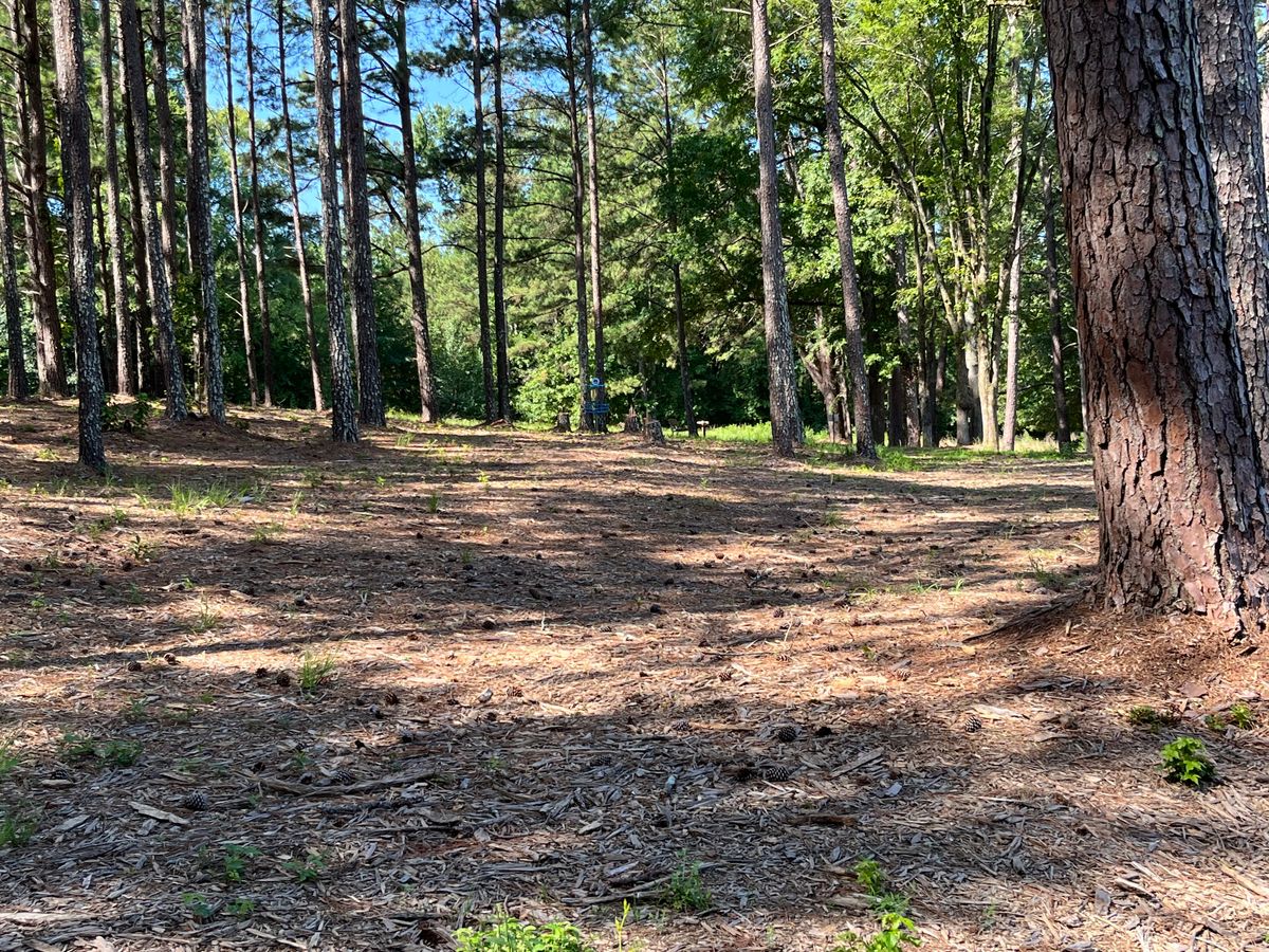 Hole 8 basket
