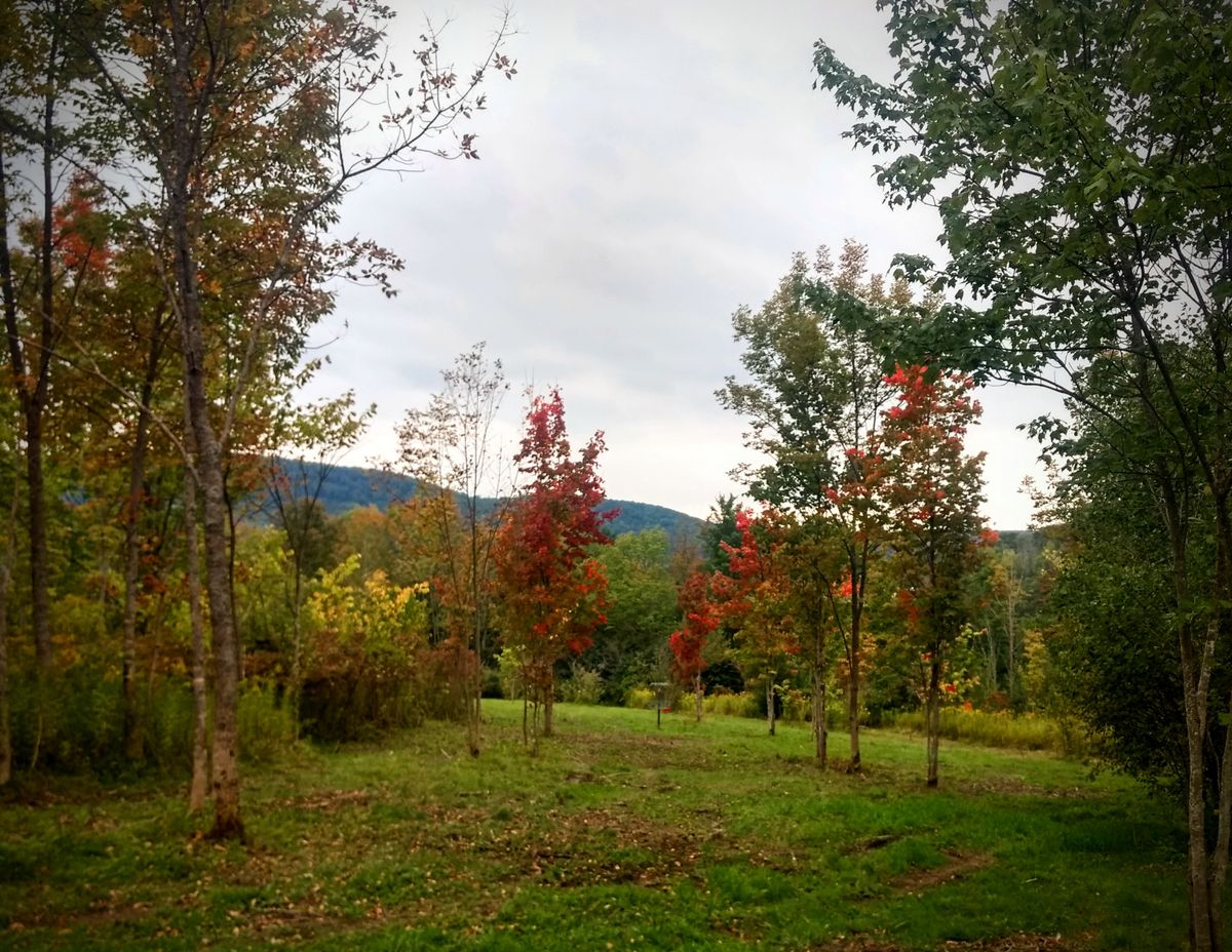 Hole 8 after the dog leg left