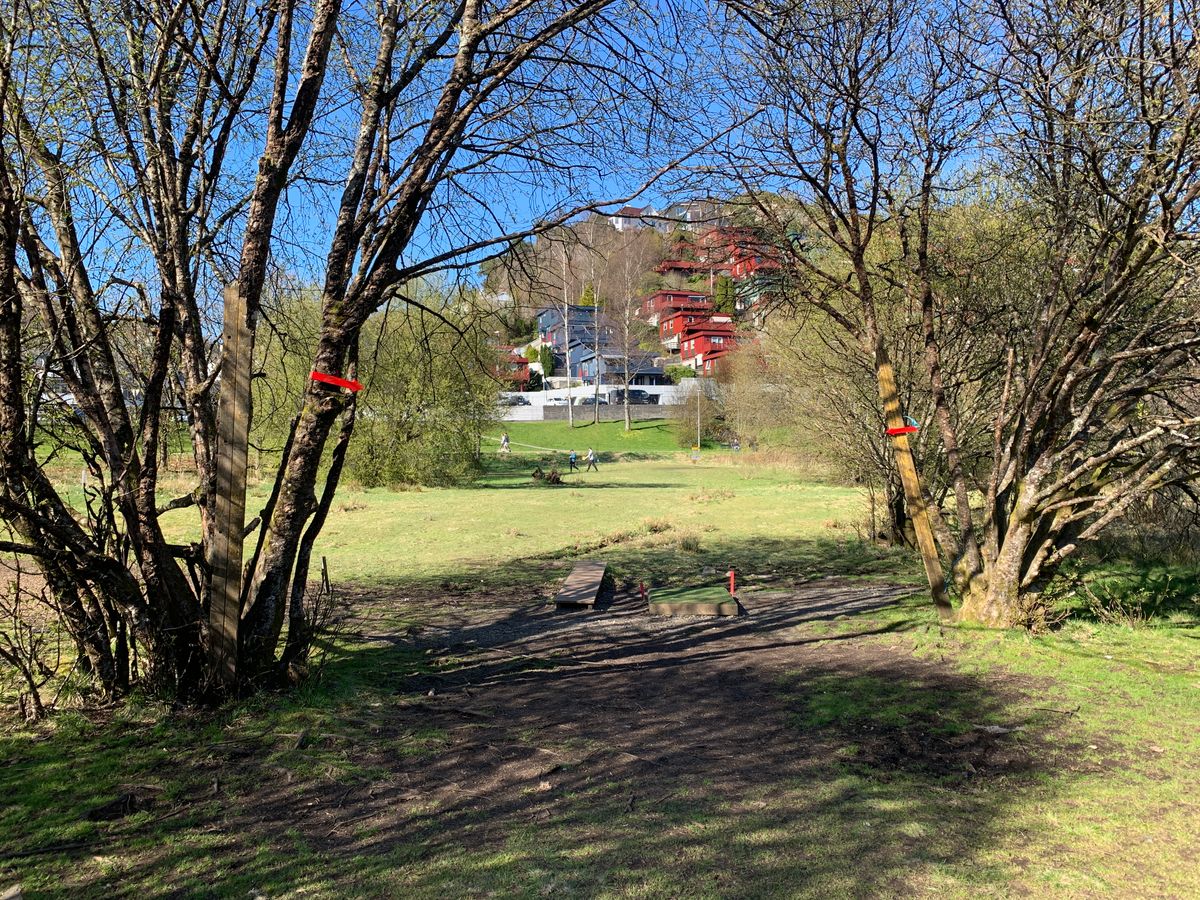 Mando and fairway hole 2