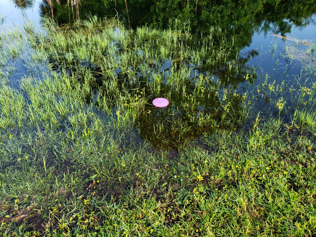 #4 Disc in the water, close enough to get.