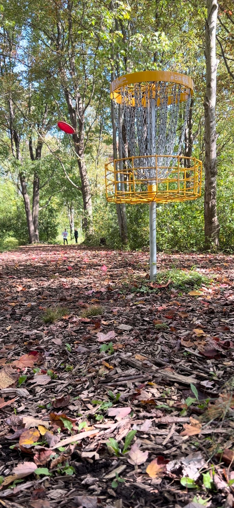 Perfect beginner course. Hole 8