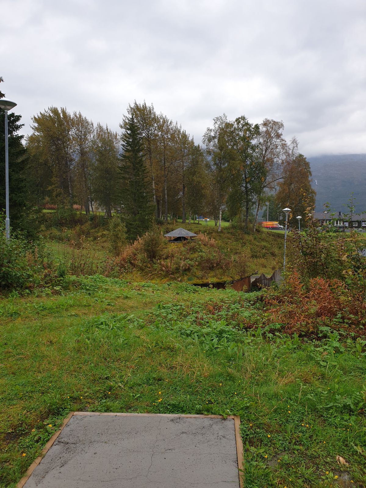 Hole 11 par 4 (basket not the first one in the photo)
